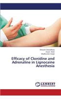 Efficacy of Clonidine and Adrenaline in Lignocaine Anesthesia