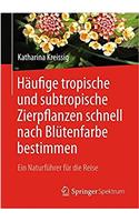 Häufige tropische und subtropische Zierpflanzen schnell nach Blütenfarbe bestimmen