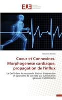 Coeur Et Connexines. Morphogenèse Cardiaque, Propagation de l'Influx: (Omn.Univ.Europ.)