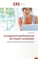 jugement professionnel de l'expert comptable