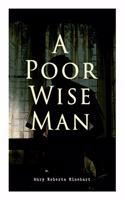 Poor Wise Man: Political Thriller