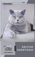 British Shorthair: Cat breed overview, care handbook