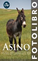 Asino: Fotolibro(Fotolibro - Oltre 100 Immagini HD)