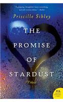 The Promise of Stardust: A Novel(English)