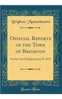 Official Reports of the Town of Brighton: For the Year Ending January 31, 1873 (Classic Reprint)