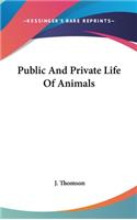 Public And Private Life Of Animals