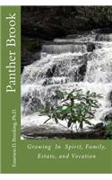 Panther Brook