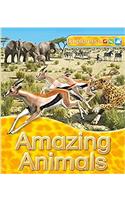 Explorers: Amazing Animals