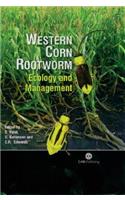 Western Corn Rootworm