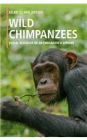 Wild Chimpanzees