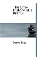 The Life-History of a Brahui