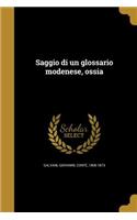 Saggio di un glossario modenese, ossia