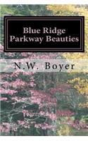 Blue Ridge Parkway Beauties: 2nd Edition