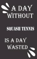 day without squash tennis is a day wasted