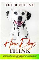 How Dogs Think