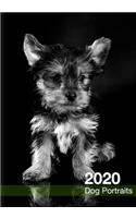 2020 Dog Calendar: Black and White Dog Portraits