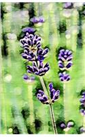 Weekly Planner: A Painting of the Purple Flowers in the Field