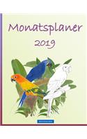 BROCKHAUSEN - Monatsplaner 2019: (9 Monatsplaner 2019)