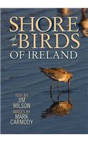 Shorebirds of Ireland