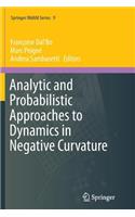 Analytic and Probabilistic Approaches to Dynamics in Negative Curvature