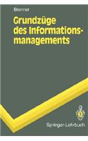 Grundzüge des Informationsmanagements