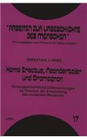 Homo Erectus, Neandertaler und Cromagnon