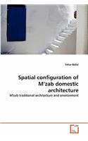 Spatial configuration of M'zab domestic architecture