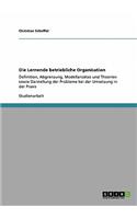 Lernende betriebliche Organisation