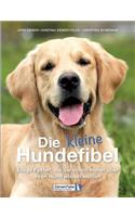 kleine Hundefibel