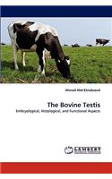 Bovine Testis