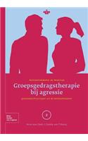 Groepsgedragstherapie Bij Agressie