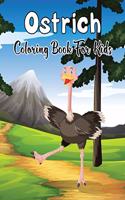 Ostrich Coloring Book for Kids