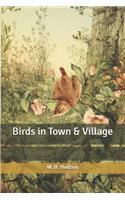 Birds in Town & Village