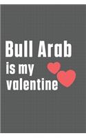 Bull Arab is my valentine: For Bull Arab Dog Fans