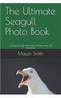 The Ultimate Seagull Photo Book: Looking through the eyes of these very old creatures