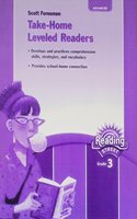 Reading 2007 Take-Home Leveled Reader Advanced Level Grade 3