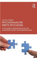 Psychoanalysis Meets Psychosis