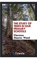 The Study of Trees in Our Primary Schools