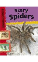 Killer Nature: Scary Spiders