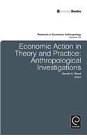 Economic Action in Theory and Practice