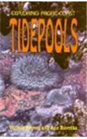 Exploring Pacific Coast Tidepools