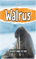 Walrus