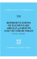 Representations of Elementary Abelian P-Groups and Vector Bundles