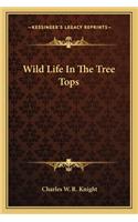 Wild Life in the Tree Tops