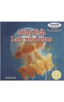 Jellyfish / Las Medusas