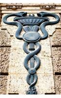 Aesculapian Staff - Caduceus on Old Building Journal