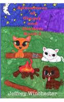 Adventures of Ginger and Shadow Book Two