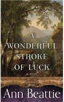 Wonderful Stroke of Luck