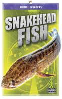 Snakehead Fish