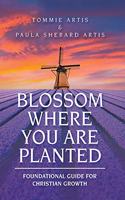Blossom Where You Are Planted